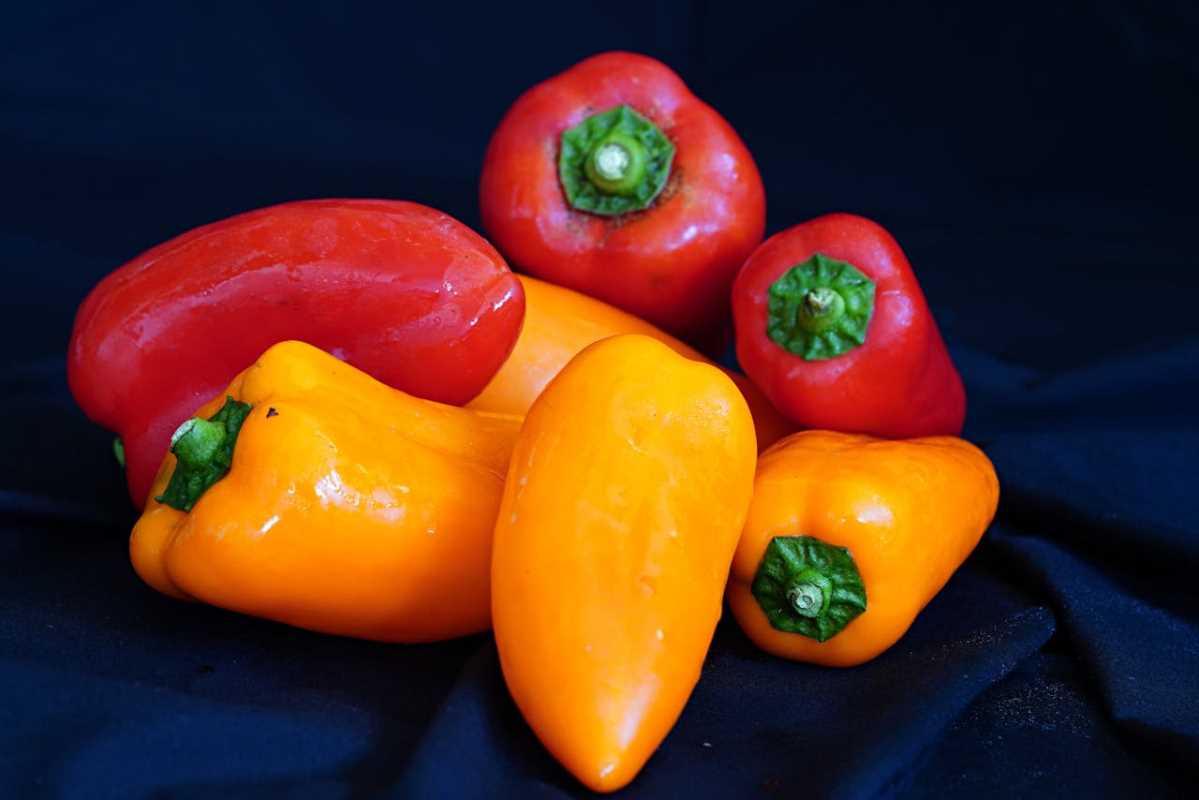 One Ingredient, Five Recipes for Stretching Your Grocery Budget